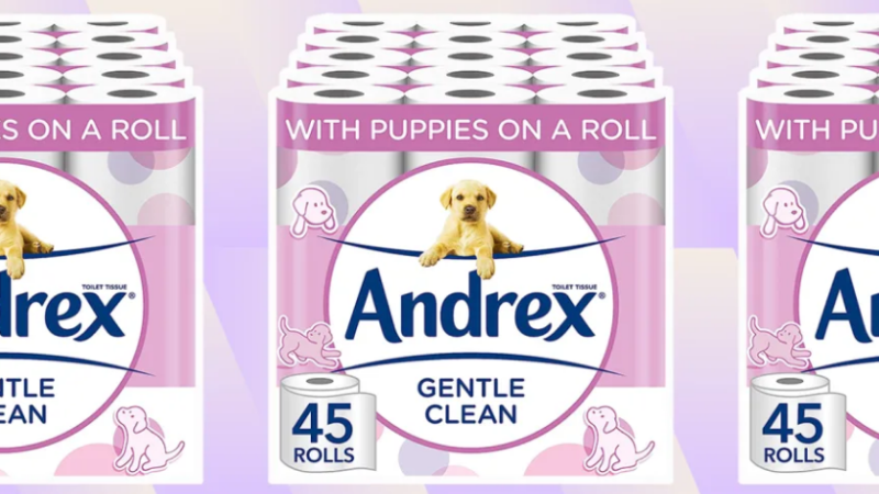 Popular Andrex toilet paper is cheapest when bought in bulk